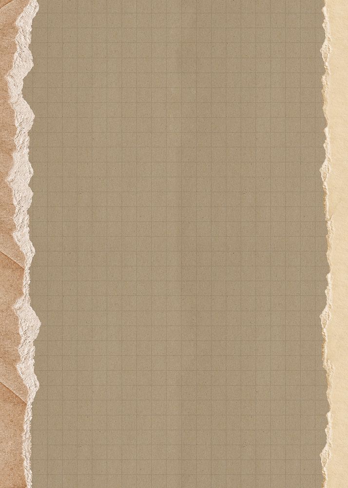 Brown grid patterned background, ripped paper border