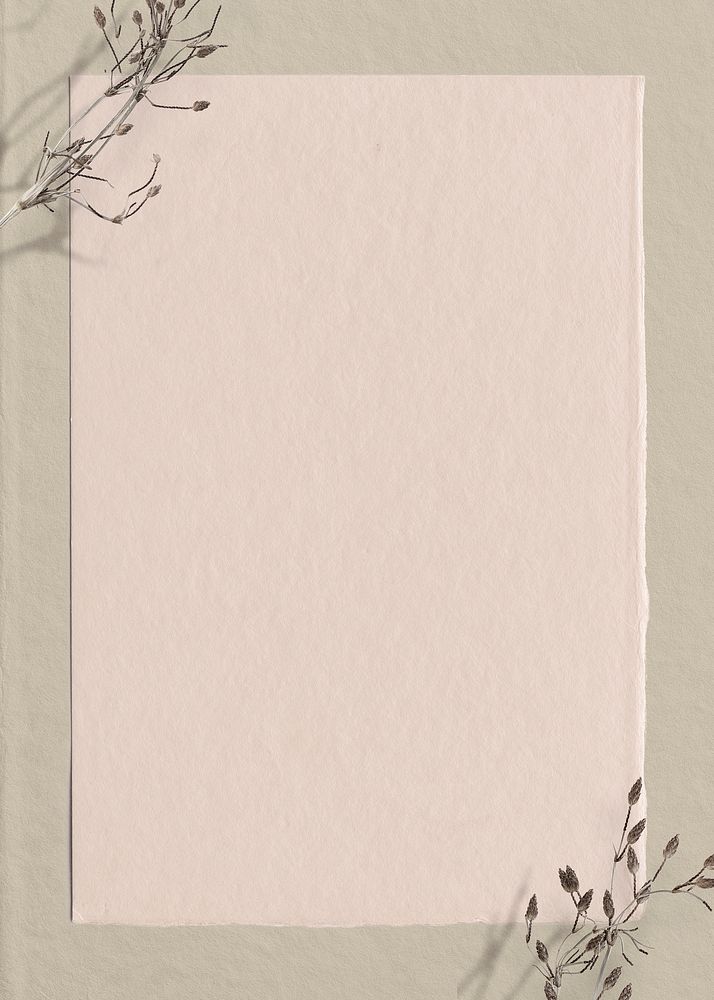 Pastel pink paper background, dry flower border