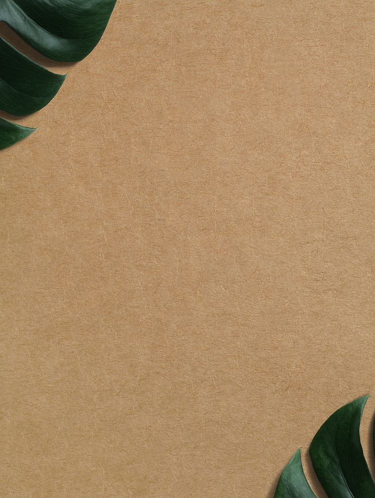 Brown craft paper texture background, monstera leaf border