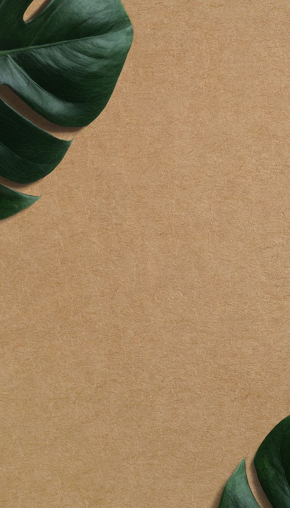 Brown paper texture mobile wallpaper, monstera leaf border