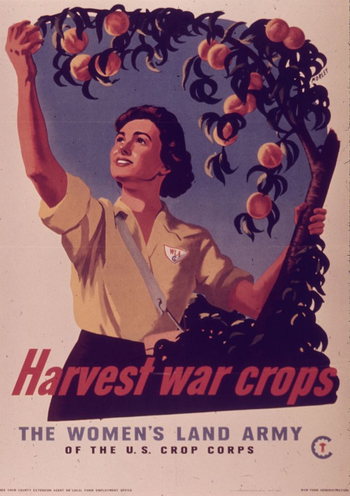 "Harvest War Crops, The Women's Land Army" - NARA