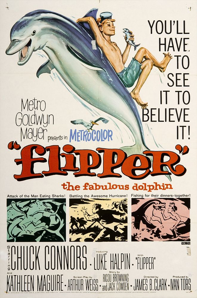 Theatrical poster for the film Flipper (1963) by Reynold Brown.