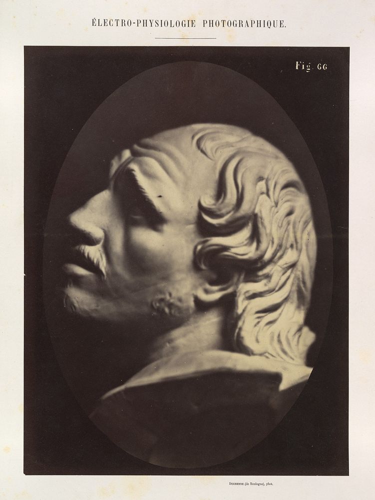 Figure 66: Head of Arrotino (the spy, the knife grinder, and so on)