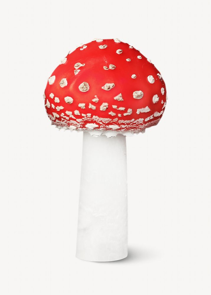 Fly agaric mushroom on white background