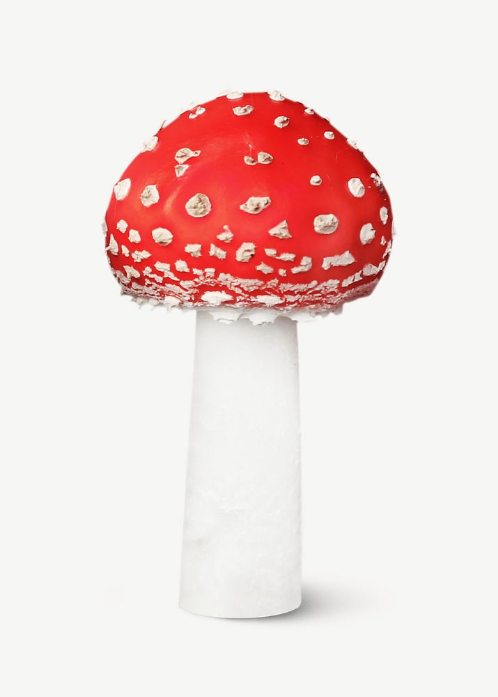 Fly agaric mushroom collage element psd