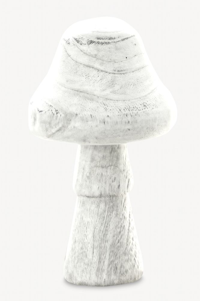 Stone mushroom isolated image