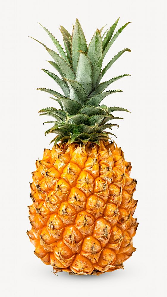 Pineapple  collage element
