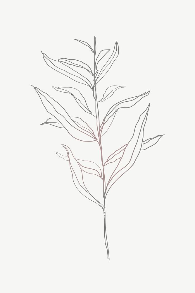 Plant line art, spring illustration collage element psd