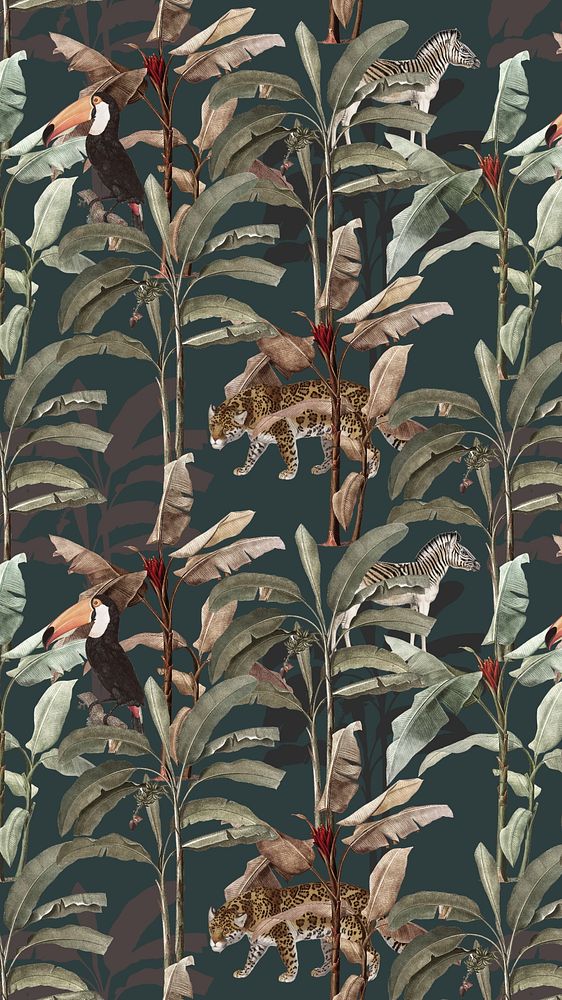 Toucan illustration, birds iPhone wallpaper