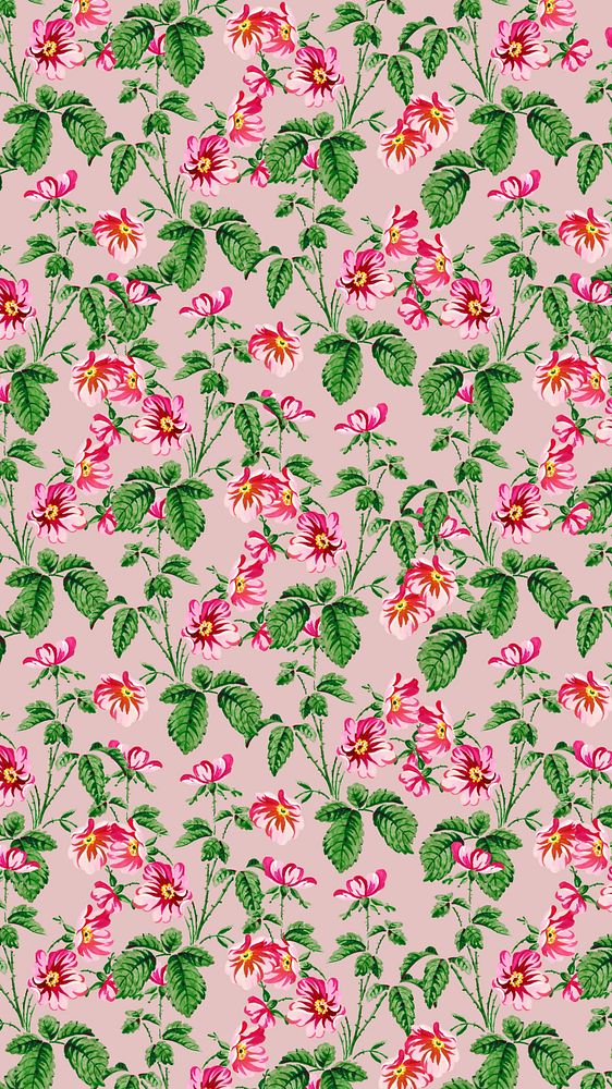 Vintage peony pattern iPhone wallpaper, pink background