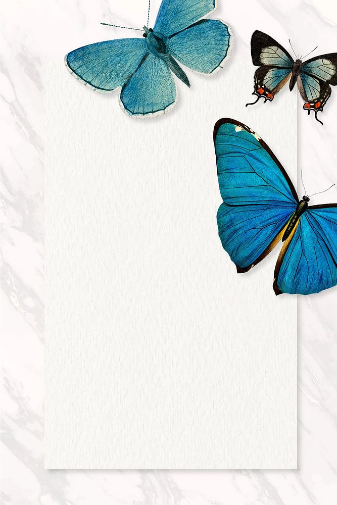 Butterfly frame marble background