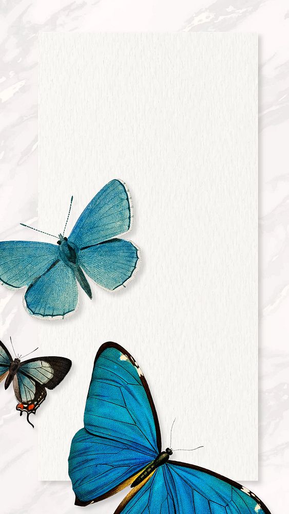 Butterfly frame marble iPhone wallpaper