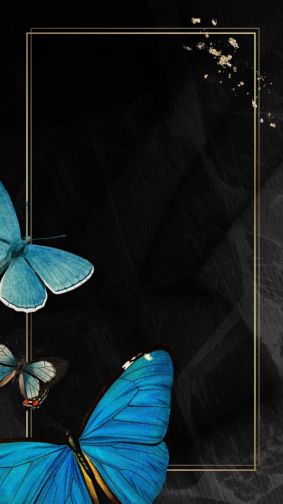 Black butterfly frame iPhone wallpaper