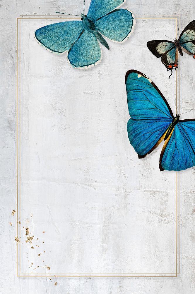 Butterfly frame wall texture background
