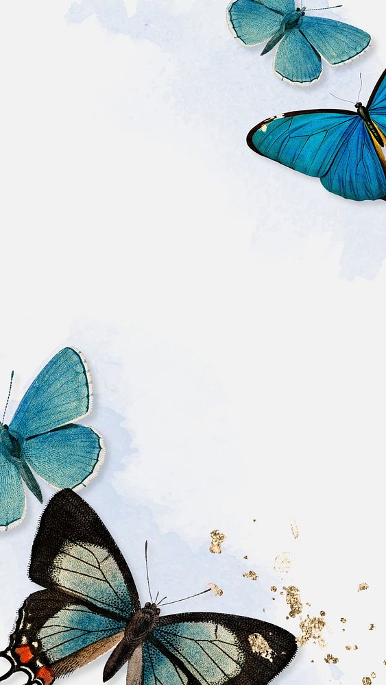 Blue butterfly border iPhone wallpaper