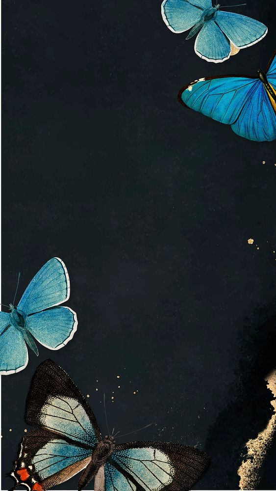 Black butterfly border iPhone wallpaper