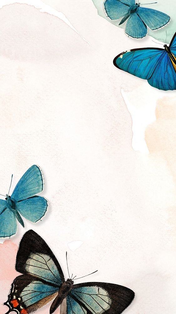 Aesthetic butterfly border iPhone wallpaper