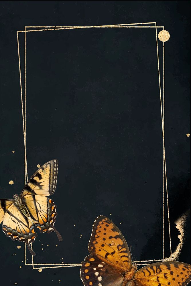 Vintage frame butterfly, black background