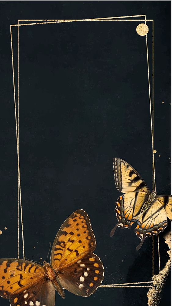 Vintage frame butterfly iPhone wallpaper