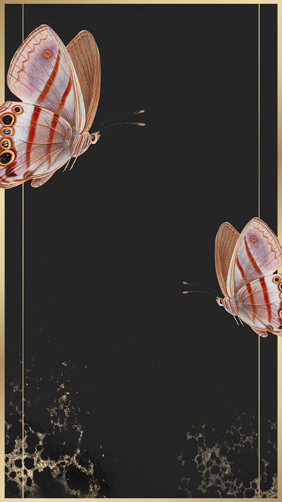 Golden butterfly frame  iPhone wallpaper