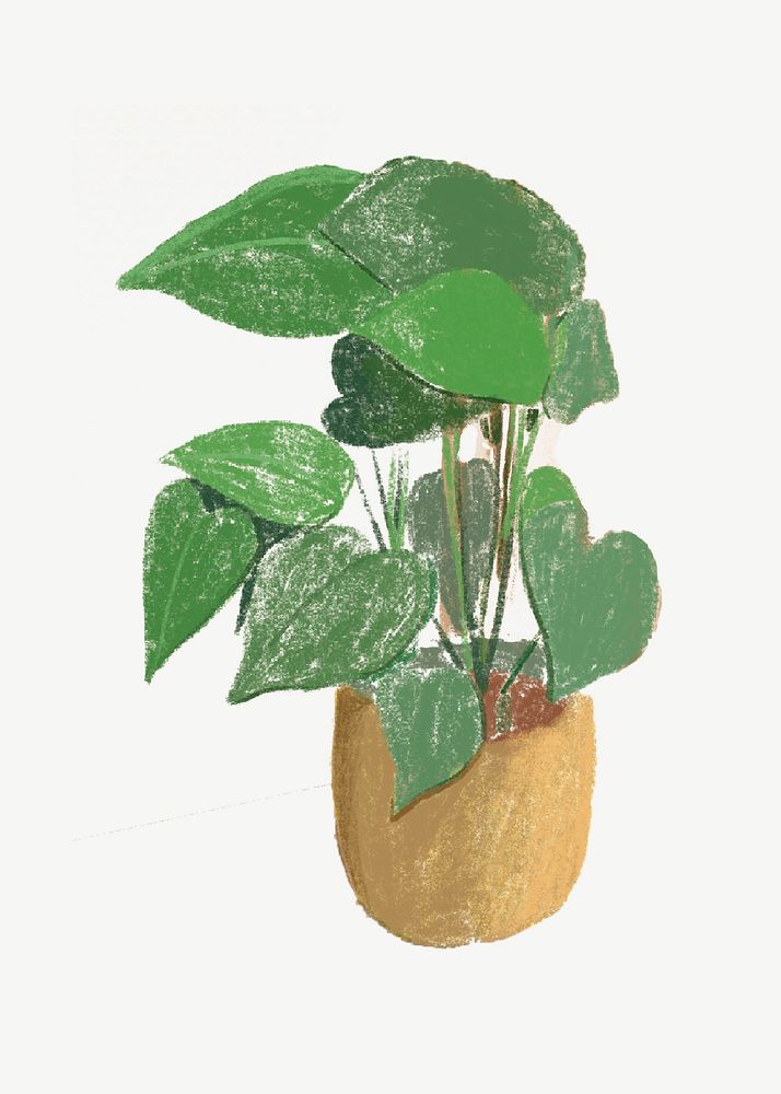 Potted monstera, plant illustration, collage element psd