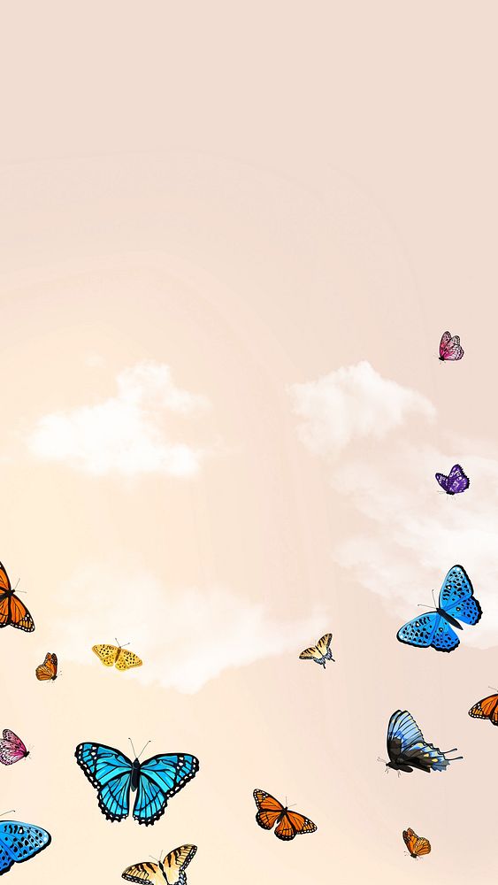 Beautiful butterfly sky phone wallpaper