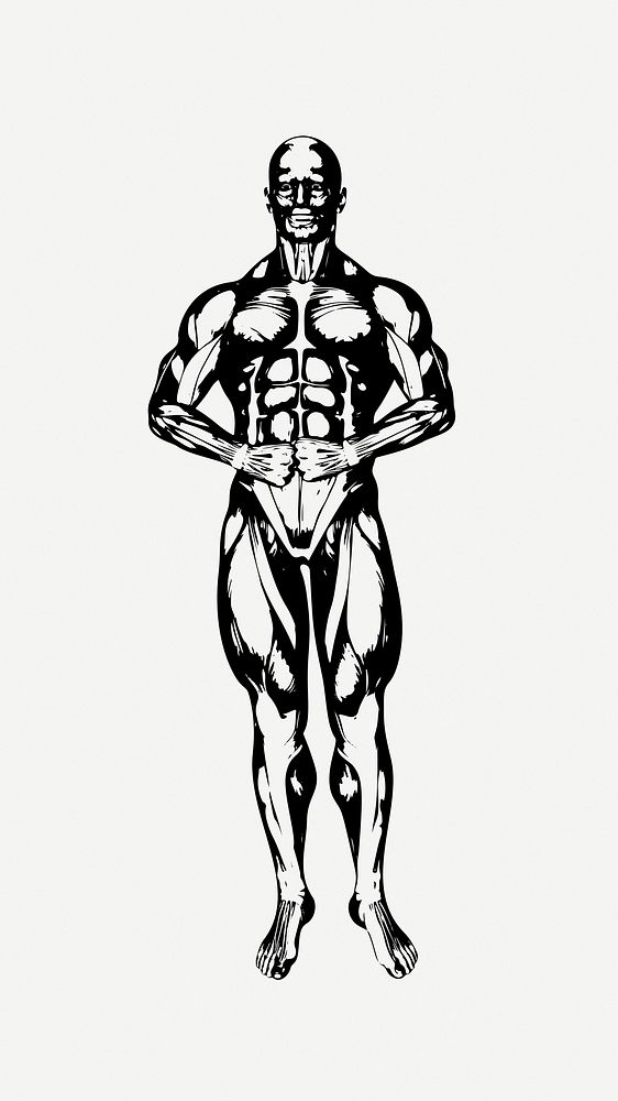 Muscular body sketch clipart illustration | Free PSD - rawpixel