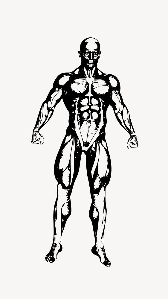 Muscular body sketch clipart. Free | Free Photo - rawpixel