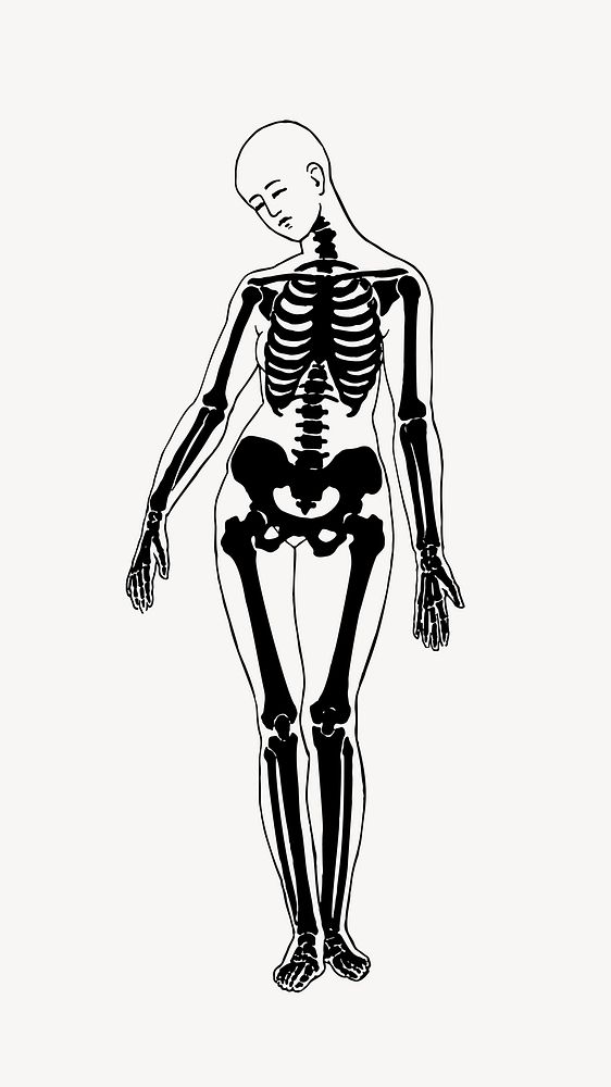 Skeletal structure woman collage element vector