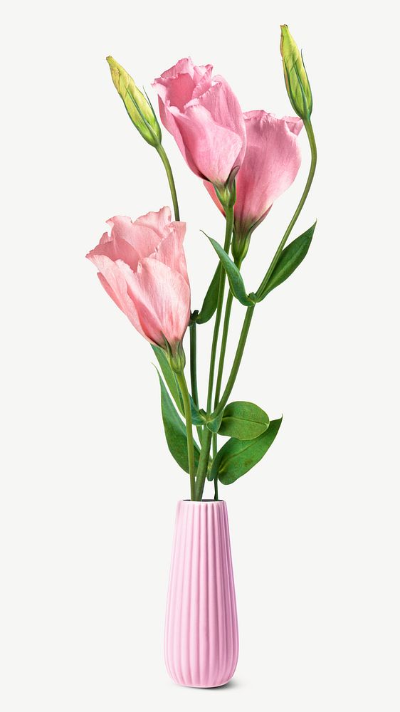 Pink tulip vase collage element psd