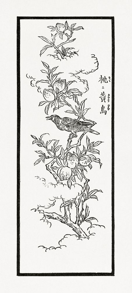 Japanese crow on a tree, vintage animal illustration. Public domain image from our own original 1884 edition of The…