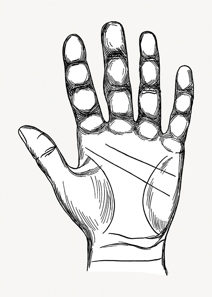 Human palm vintage illustration. Remixed by rawpixel. 