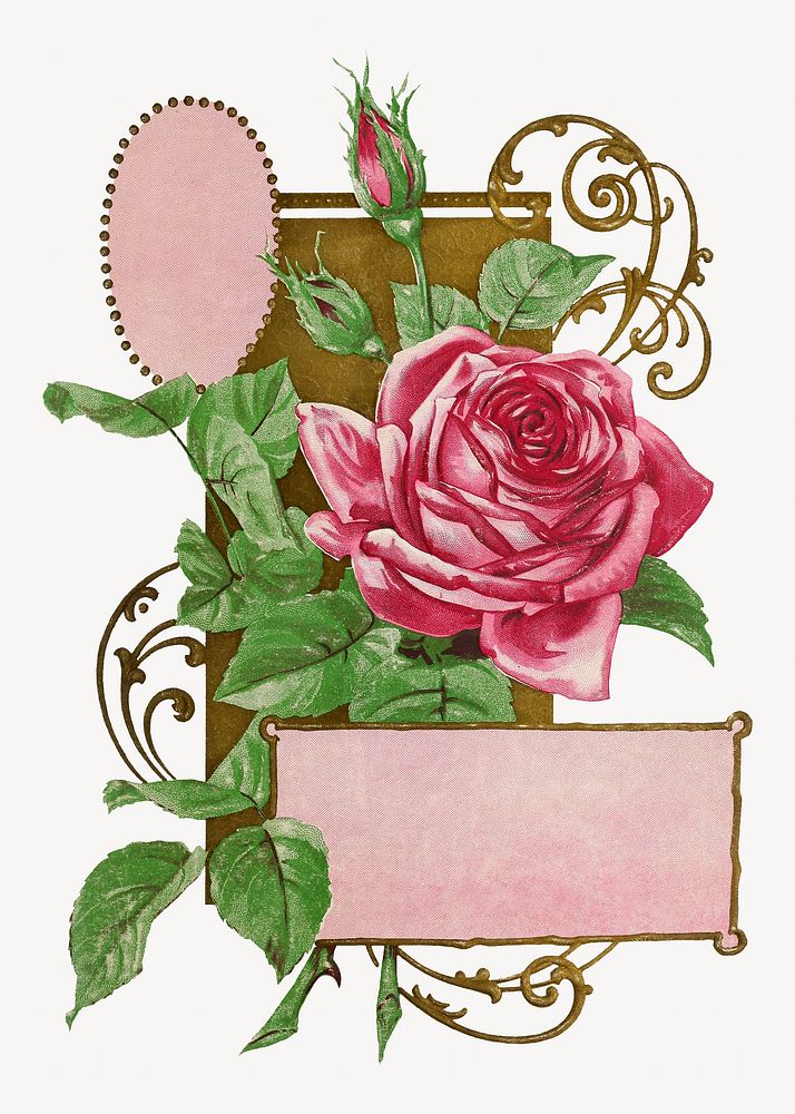 Vintage pink rose chromolithograph art. Remixed by rawpixel. 