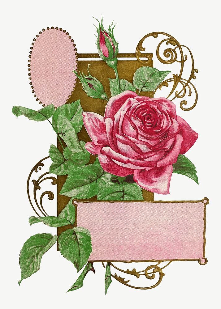 Vintage pink rose chromolithograph art psd. Remixed by rawpixel. 