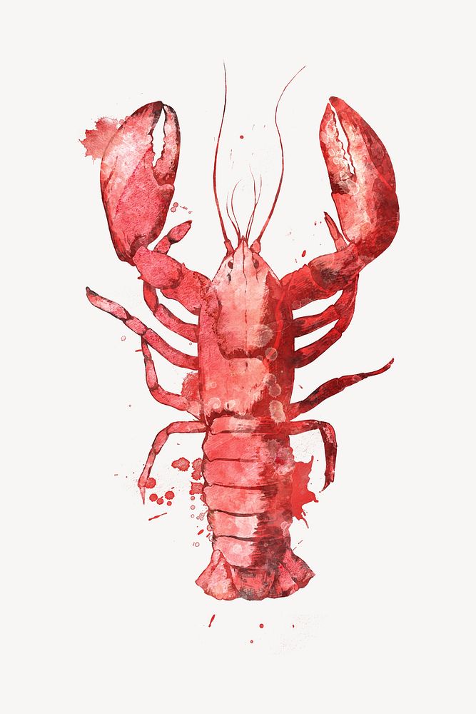 Watercolor lobster  collage element. Remixed by rawpixel.
