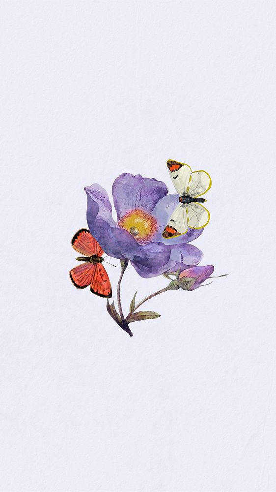 Watercolor butterflies & flower mobile wallpaper. Remixed by rawpixel.