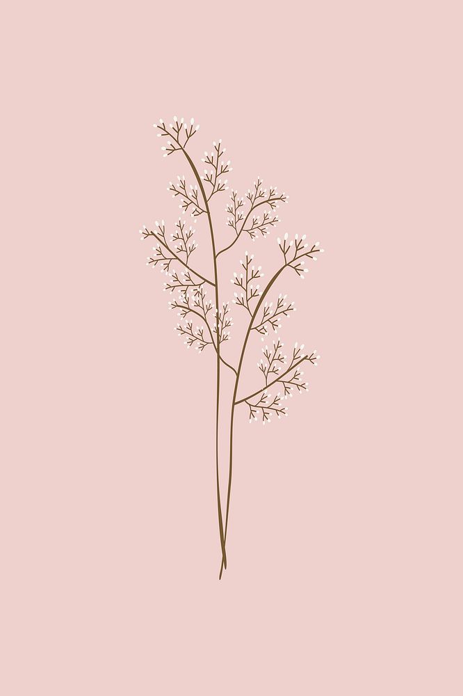 Feminine dried flower illustration vector
