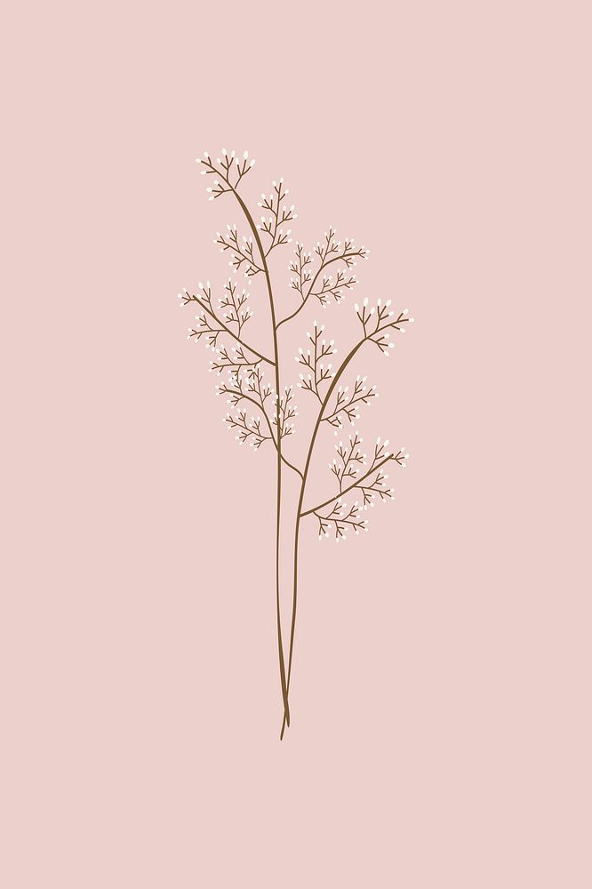 Feminine dried flower illustration psd