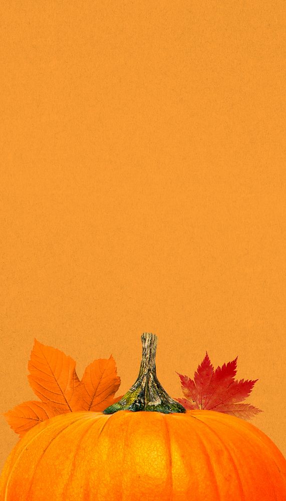 Autumn pumpkin aesthetic iPhone wallpaper, maple leaf border