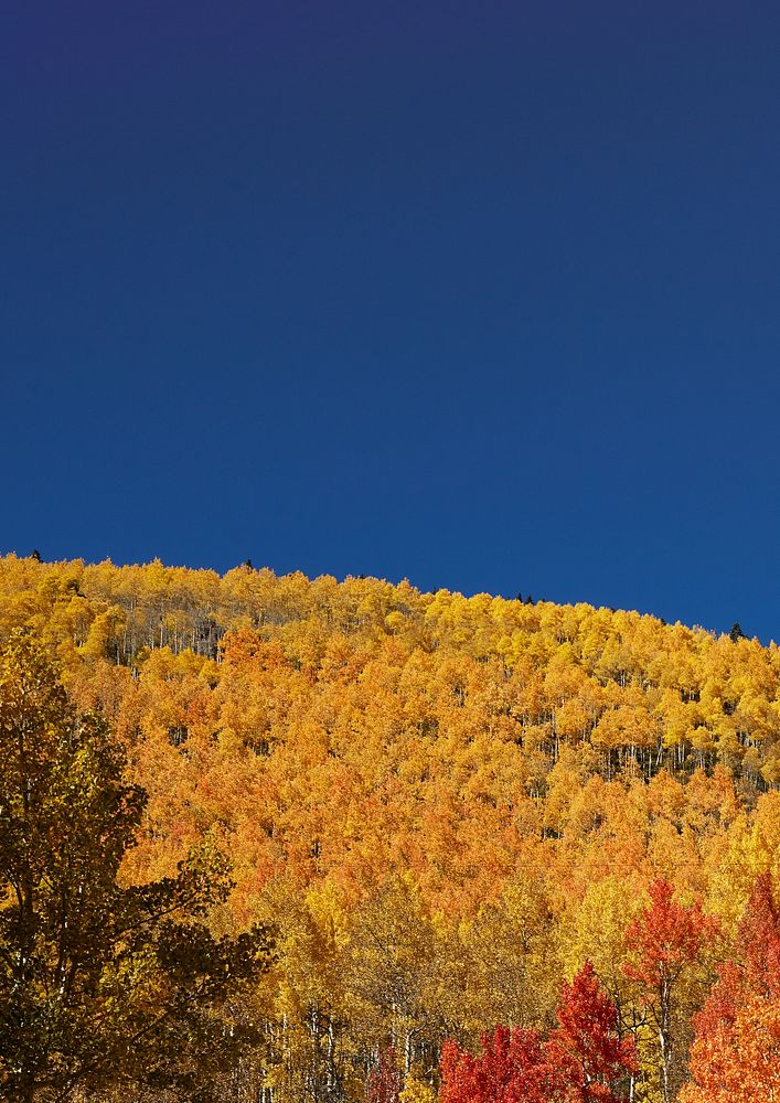 Autumn meadow border background, blue sky image