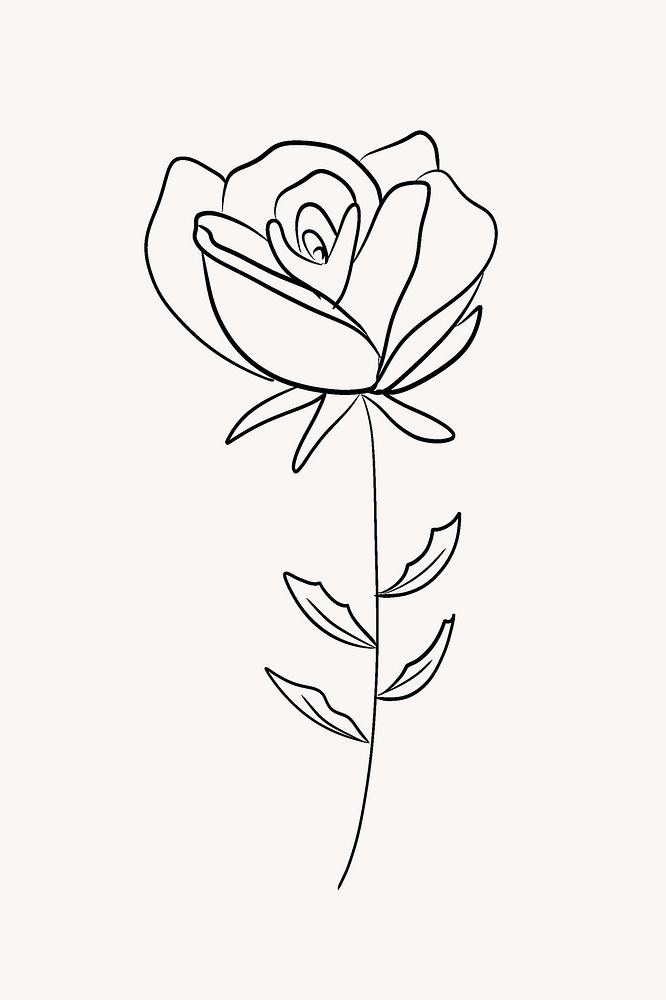 Rose line art illustration