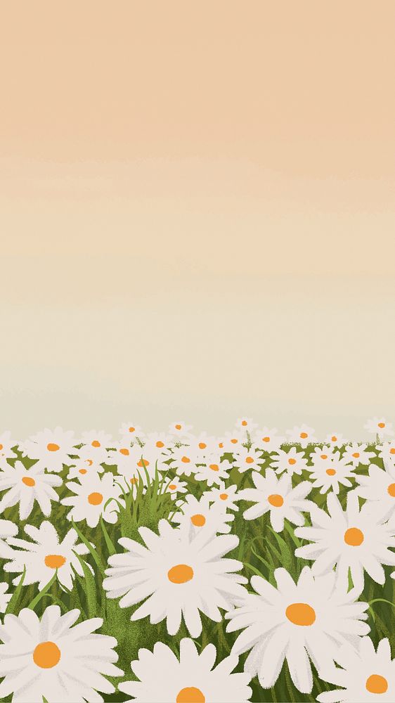 Daisy flower illustration mobile wallpaper, painting 