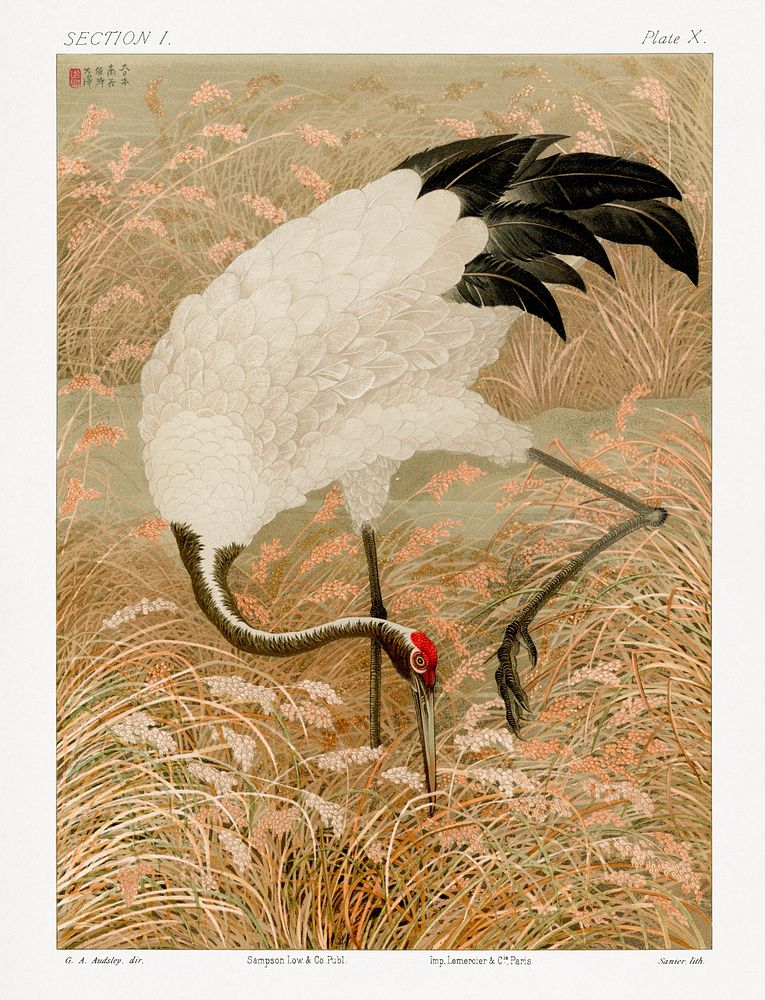 Sarus crane in rice field, vintage Japanese animal painting,  by G.A. Audsley-Japanese illustration. Public domain image…