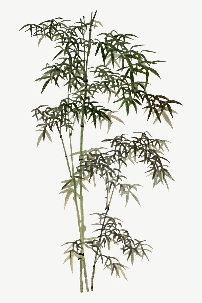 Bamboo tree, vintage painting by G.A. Audsley-Japanese illustration psd. Remixed by rawpixel.