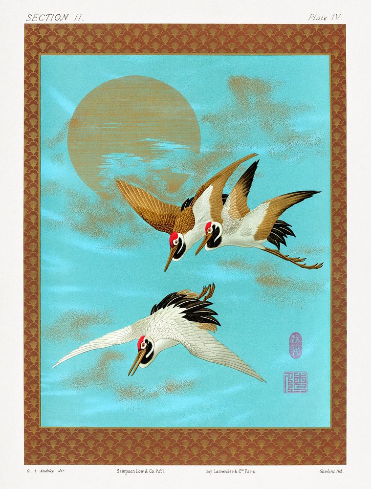 Three sarus crane flying in front of the moon, vintage painting by G.A. Audsley-Japanese illustration. Public domain image…