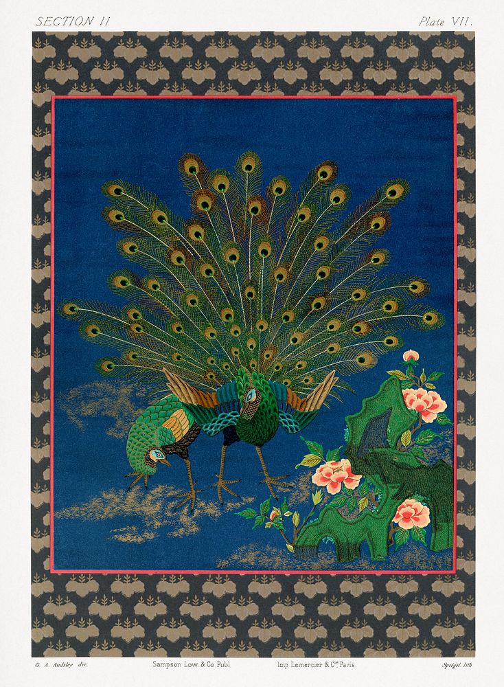 Peacock showing off to peahen, vintage animal painting by G.A. Audsley-Japanese illustration. Public domain image from our…