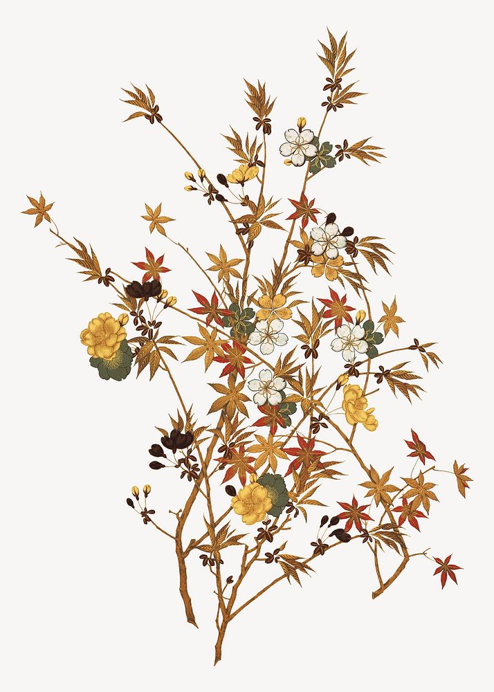 Japanese Autumn flowers & tree, vintage botanical illustration. Remixed by rawpixel.