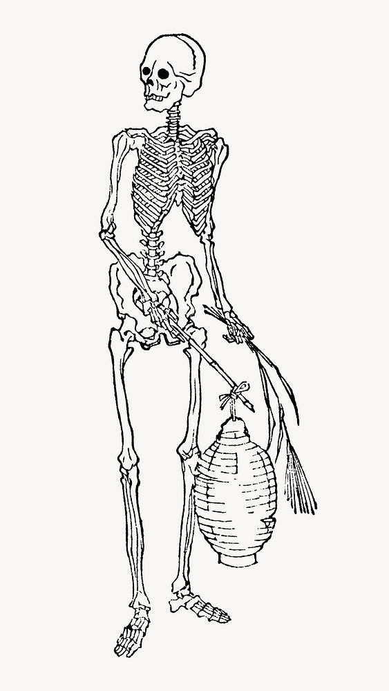 Human skeleton, vintage illustration. Remixed by rawpixel.