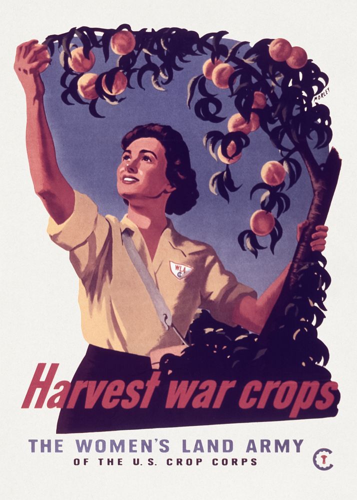 Harvest War Crops, The Women's Land Army (1941-1945) chromolithograph art. Original public domain image from Wikimedia…