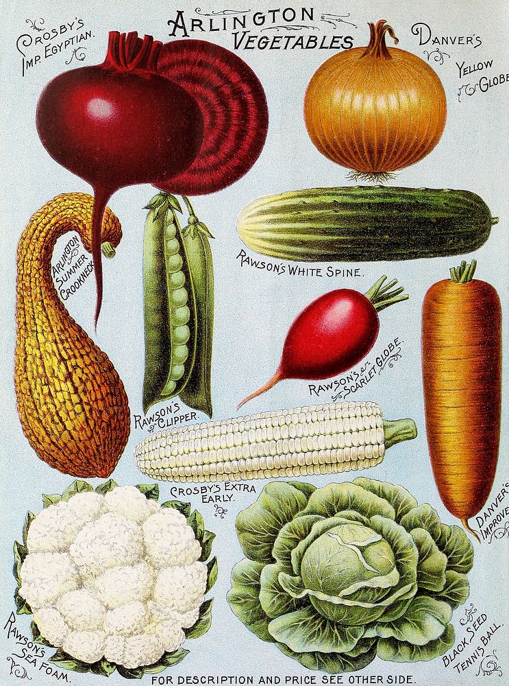 Illustrated hand book - Rawson's vegetable and flower seeds (1895) chromolithograph art by W.W. Rawson and Co. Original…